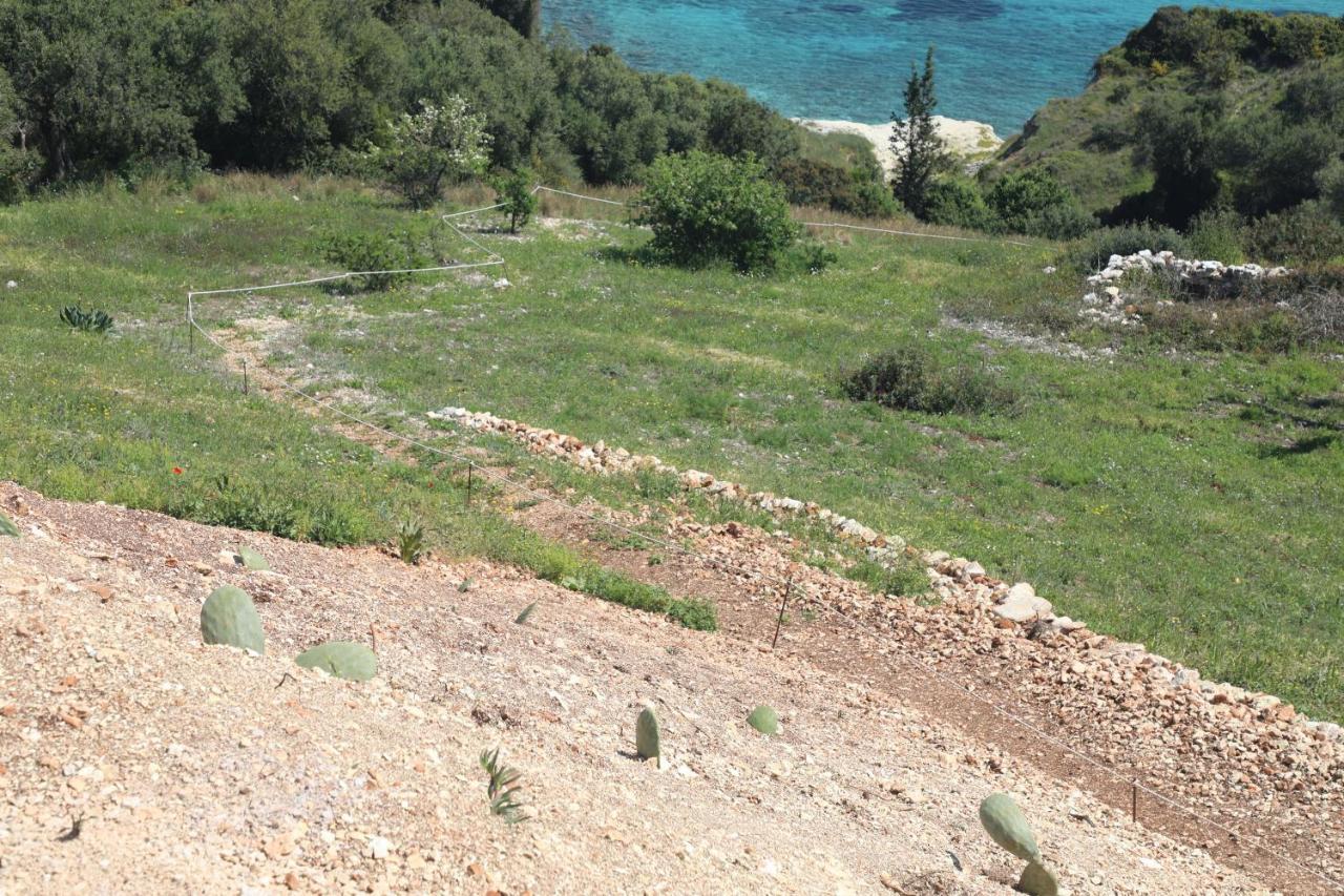 Zante Xigia Bay Villas Khartáta Kültér fotó